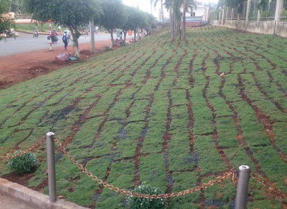 Công trình thảm cỏ xanh, do ban liên lạc cha mẹ học sinh tặng